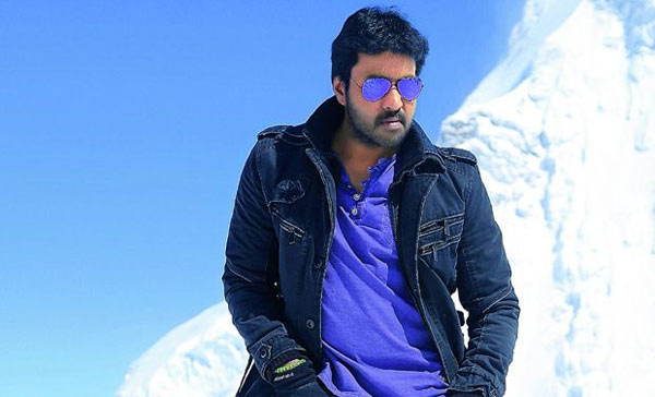 golden star,rold gold star,sunil,krishnashtami movie  గోల్డెన్‌స్టార్‌ కాదు రోల్‌ గోల్డ్‌ స్టార్‌! 